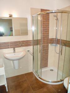 a bathroom with a shower and a sink at Mar Baltico in Zingst