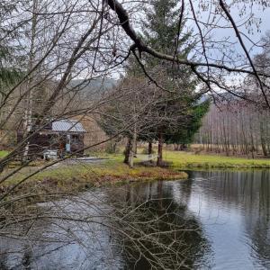 widok na rzekę z domem w tle w obiekcie Insolite Tiny House Sérénité Bien Être w mieście Ban-sur-Meurthe-Clefcy