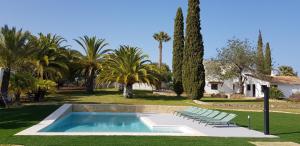 einen Pool im Garten mit Stühlen und Bäumen in der Unterkunft Palmeiras Cottages in Mexilhoeira Grande