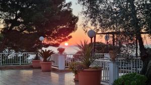 a group of potted plants on a fence with the sunset at Residence Maresol in Vieste