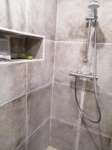La salle de bains est pourvue d'une douche avec un tuyau. dans l'établissement MAGNIFIQUE ESCALE POITEVINE. THE PLACE TO BE, à Poitiers