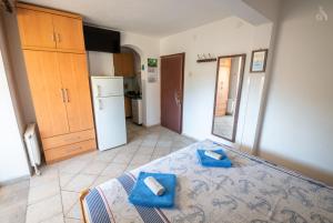 Kuchyň nebo kuchyňský kout v ubytování Villa Goga