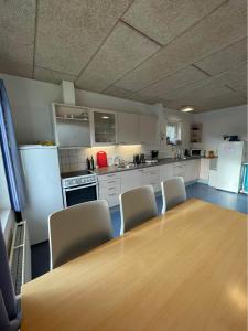 Kuchyň nebo kuchyňský kout v ubytování Roslev Vandrerhjem-Hostel