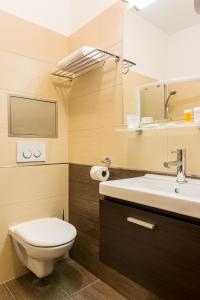 a bathroom with a toilet and a sink and a mirror at Hotel Lužnice in Planá nad Lužnicí