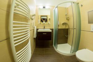 a bathroom with a shower and a sink and a toilet at Hotel Lužnice in Planá nad Lužnicí