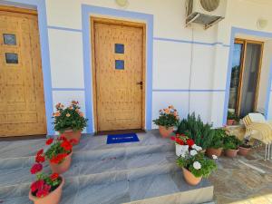 a group of potted plants in front of a door at Guesthouse Emanuel in Ksamil