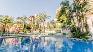 una piscina en un complejo con palmeras y sillas en Apartamentos El Faro By Mc en Benidorm