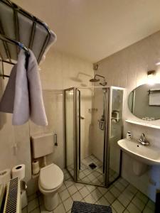 a bathroom with a shower and a toilet and a sink at Hotel Restaurant 't Trefpunt in Made
