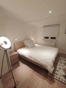 a bedroom with a white bed and a lamp at Precioso apartamento, fantásticas vistas in Augustusburg