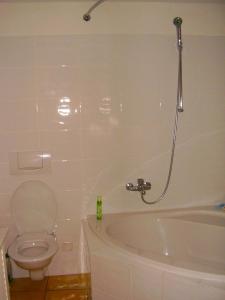 a bathroom with a toilet and a bath tub at Haus Nicca in Splügen