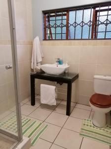 a bathroom with a sink and a toilet at Garden and Park Leisure on Tugela in Benoni