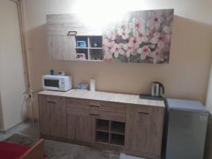 eine Küche mit einer Arbeitsplatte und einer Mikrowelle in der Unterkunft New 33 in Bacău