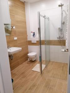 een badkamer met een douche, een toilet en een wastafel bij Apartament Zet in Nałęczów