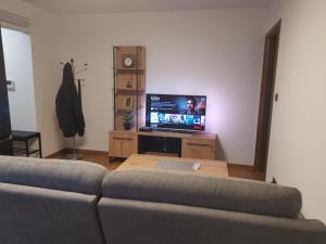 TV/Unterhaltungsangebot in der Unterkunft Nibela Apartments