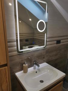 ein Badezimmer mit Waschbecken und Spiegel in der Unterkunft Nibela Apartments in Zagreb + 19 Fotos