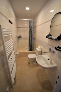 La salle de bains est pourvue de toilettes, d'un lavabo et d'une douche. dans l'établissement Pension St. Moritz, à Železná Ruda