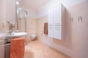 a bathroom with a sink and a toilet at Urlaub auf dem Bauernhof Hallerhof in Villandro +27 photos