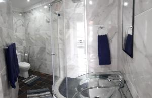 a bathroom with a glass shower with a toilet at 13th Avenue Guesthouse Benoni in Benoni