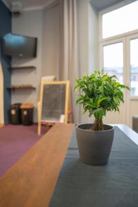 TV a/nebo společenská místnost v ubytování Moon Hostel Warszawa