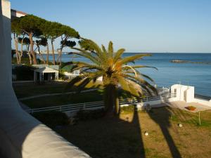 a palm tree sitting next to the ocean at Appartamento Con Accesso Spiaggia in Pula