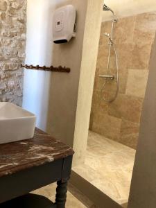 a bathroom with a shower and a sink at La Verrière à Bonnieux in Bonnieux