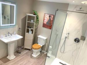 a bathroom with a shower and a toilet and a sink at The Malt House in Aylesbury