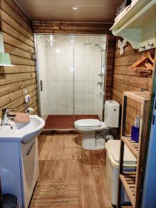 ein Bad mit einer Dusche, einem WC und einem Waschbecken in der Unterkunft Het Swadde huisje in Twijzelerheide