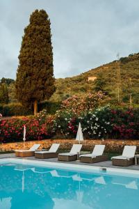 una piscina con tumbonas, un árbol y flores en Buonvisi B&B en Lucca