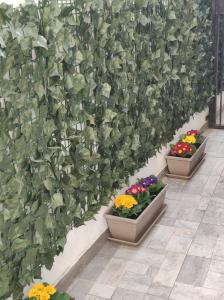 un mur avec des plantes en pot et des fleurs en pots dans l'établissement Namavistu holiday house, à Catane