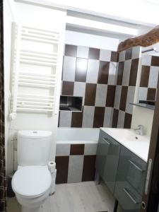La salle de bains est pourvue de toilettes et d'un lavabo. dans l'établissement La petite maison CARRÉ, à Talant