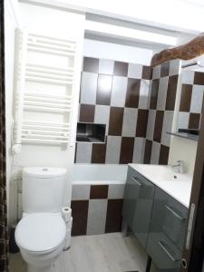 un bagno con un water e un lavandino di La petite maison CARRÉ a Talant