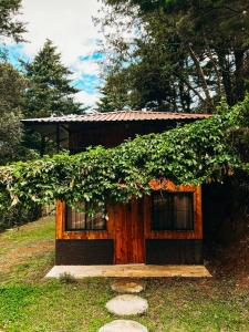 una pequeña casa con vides creciendo a su lado en Cabañas Queca!, en Poás