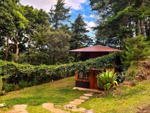 a small cabin in the middle of a grassy field at Cabaña Piqueza! in Poás