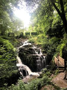ein Wasserfall in einem Wald mit einer Bank neben einem Fluss in der Unterkunft La tour cachée in Mortain
