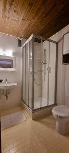 een badkamer met een douche, een toilet en een wastafel bij Pension Schöne Aussicht in Kuchl