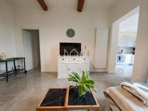 salon ze stolikiem kawowym i telewizorem w obiekcie Gold River House w mieście Ferrara