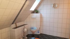 a small bathroom with a toilet and a sink at Ferienwohnung Haske mit Wallbox in Gifhorn +12 photos