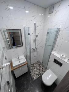 y baño con ducha, lavabo y aseo. en MOYA Apartmentai, en Naujoji Akmenė