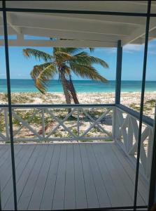 Blick auf den Strand von einer Veranda mit einer Palme in der Unterkunft Charming 1-Bed Cottage in Codrington in Dulcina