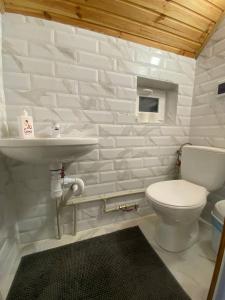 a white bathroom with a toilet and a sink at Затишок в Карпатах 1 in Slavske