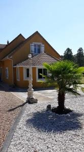 a palm tree in front of a house at Villa suzana in La Suze-sur-Sarthe