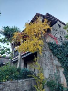 un viejo edificio con un árbol delante de él en TERRACEA, en Hoyos