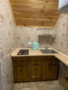 a kitchen counter with a sink and a stove at Затишок в Карпатах 1 in Slavske