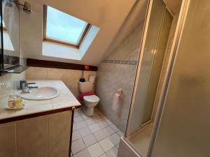 ein Bad mit einer Dusche, einem Waschbecken und einem WC in der Unterkunft Appartement privé in Lourdes