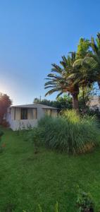 Gallery image of Irini Studios in Georgioupolis