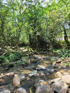 a stream of water with rocks in a forest at Pousada Camping dos Ypês in Guapimirim