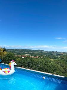 una piscina con un animal inflable en una piscina en Casa di nonna Ines 2 - Hideaway in Monferrato con Vista sulle Colline e Piscina, en Gabiano