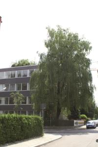 Okolí hotelu