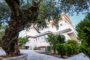 un edificio con un árbol delante de él en Tassos & Marios Apartments I, en Laganas