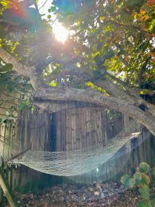 a hammock under a tree in front of a fence at Turtle Beach Resort in Siesta Key